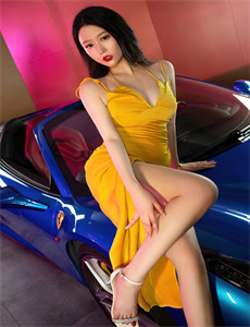 《愤怒的小鸟之猪猪传第4季》