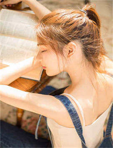 《电视剧黑狐全集》